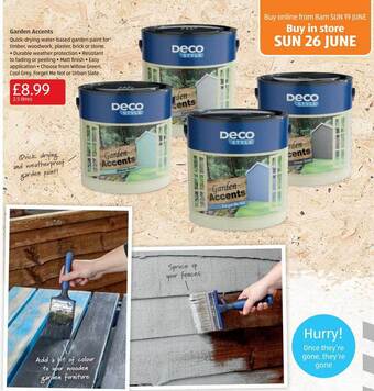 Aldi Garden Accents offer