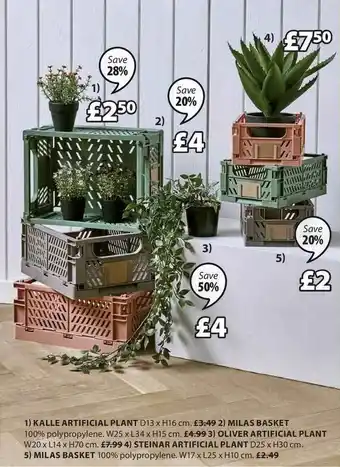 JYSK Kalle Artificial Plant, Milas Basket, Oliver Artificial Plant, Steinar Artificial Plant, Milas Basket offer