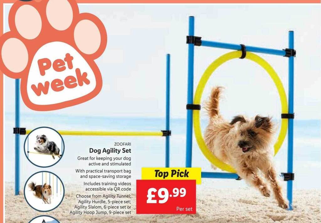 Lidl Dog Agility Set offer