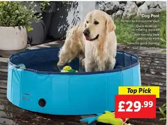 Lidl Zoofari Dog Pool offer