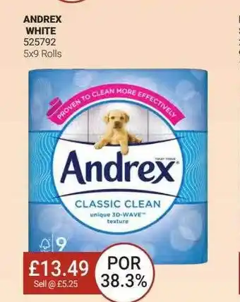 Bestway Andrex White offer