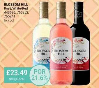 Bestway Blossom Hill Rosé-white-red offer