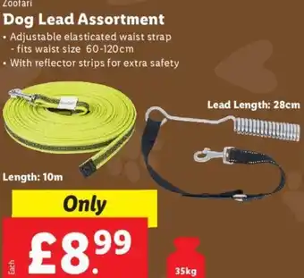 Lidl Dog Lead Assortment offer