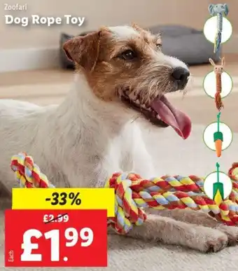 Lidl Dog Rope Toy offer