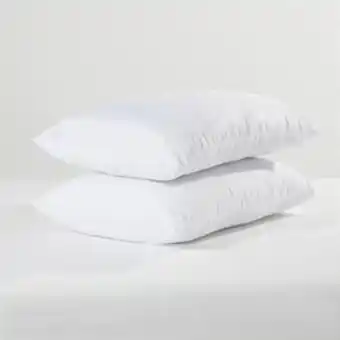 Home Bargains 2 firm support pillows offer