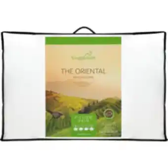 TK Maxx Two pack the oriental hollowfibre pillows 63x48cm offer