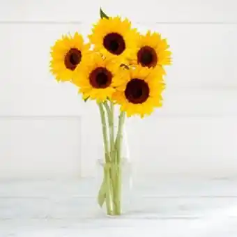 Sainsbury's Simply sunflowers offer
