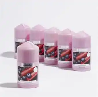 Home Bargains Wickford & co.: scented small pillar candle - wild rhubarb (case of 6) offer