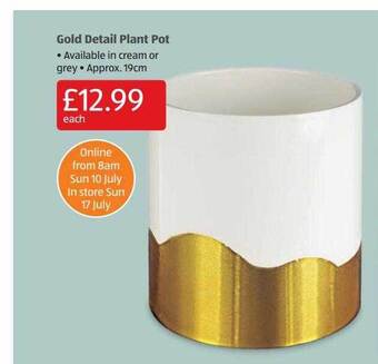 Aldi Gold Detail Plant Pot offer