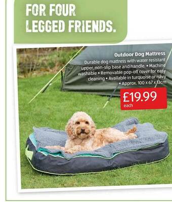 Aldi Outdoor Dog Mattress offer