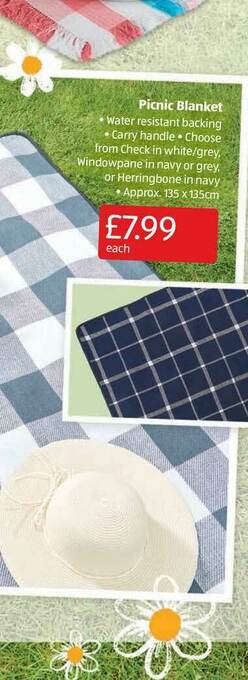Aldi Picnic Blanket offer