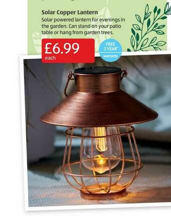 Aldi Solar Copper Lantern offer