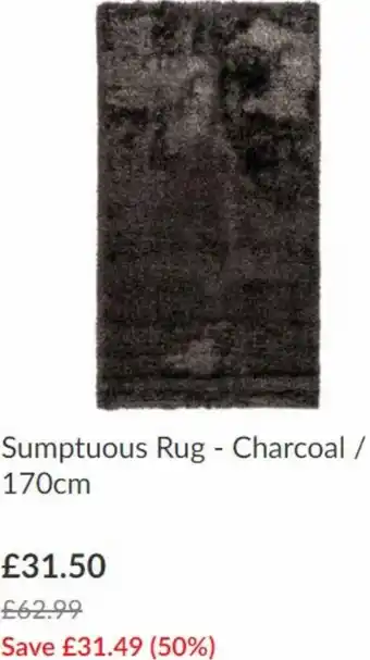 The Range Sumptous Rug - Charcoal/ 170cm offer