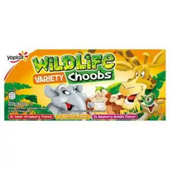 Sainsbury's Wildlife strawberry, raspberry & apricot yogurt choobs 6x37g offer
