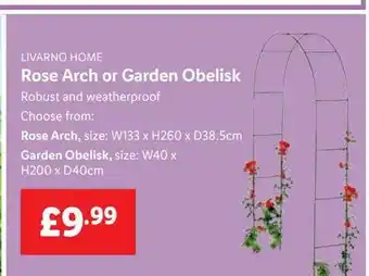 Lidl Livarno Home Rose Arch Or Garden Obelisk offer