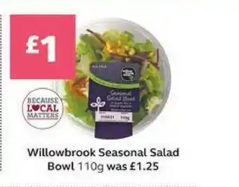 SuperValu Willowbrook Seasonal Salad Bowl offer