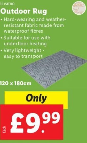 Lidl Outdoor Rug offer