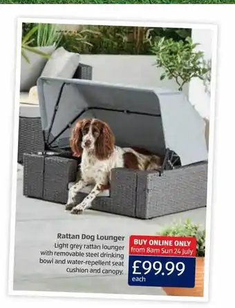 Aldi Rattan dog lounger offer