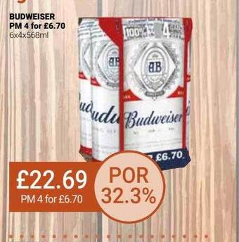 Bestway Budweiser offer