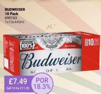 Bestway Budweiser 10 pack offer