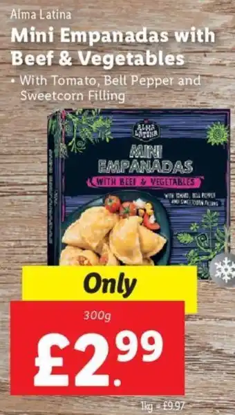 Lidl Mini Empanadas With Beef & Begetables 300g offer