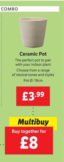 Lidl Ceramic pot offer