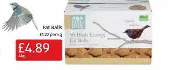 Aldi Fat balls offer