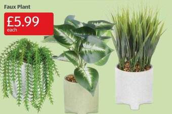 Aldi Faux plant offer
