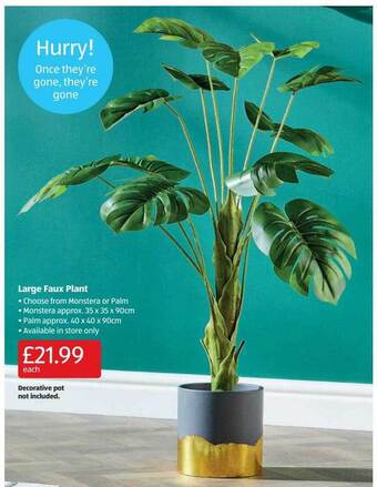 Aldi Large faux plant offer