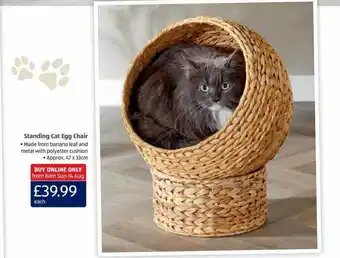Aldi Standing cat egg chair offer