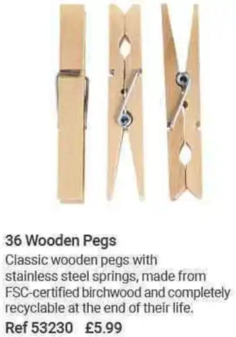 Lakeland 36 Wooden Pegs offer