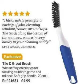 Lakeland Tile & Grout Brush offer