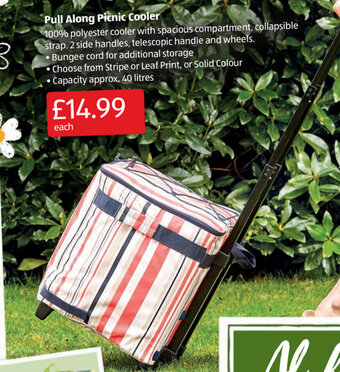 Aldi Pull Along Picnic Cooler offer