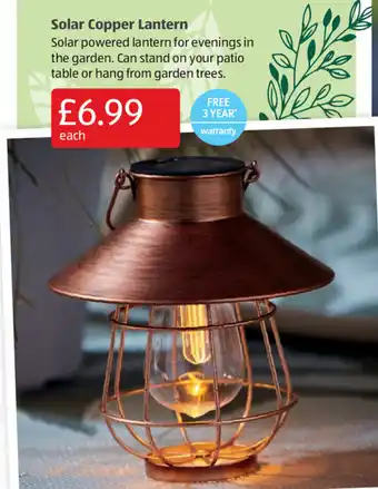 Aldi Solar Copper Lantern offer