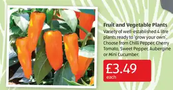Aldi Fruit and Vegetable Plants offer