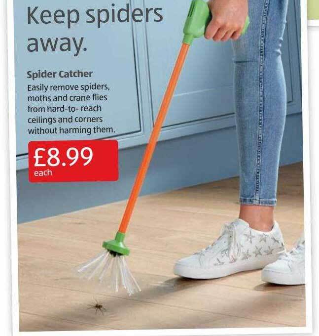 Spider catcher offer at Aldi