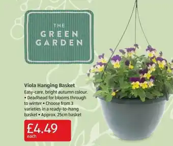 Aldi Viola hanging basket offer