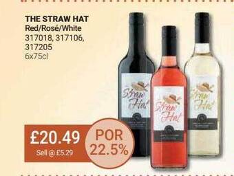 Bestway The straw hat offer