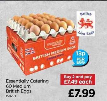 Bestway Essentially catering 60 medium british eggs offer