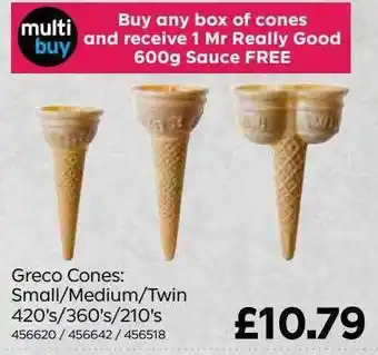 Bestway Greco cones: small medium twin offer