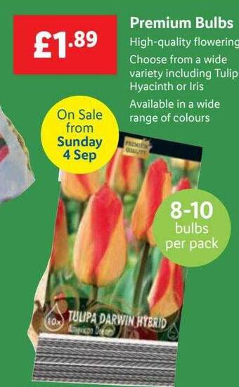 Lidl Premium bulbs offer