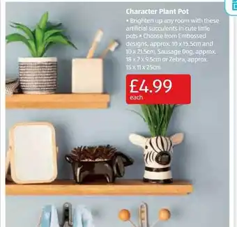 Aldi Character plant pot offer