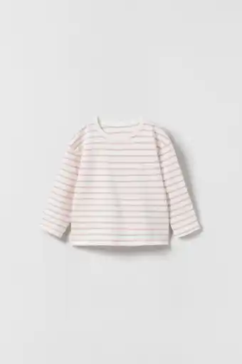 Premium quality striped t-shirt