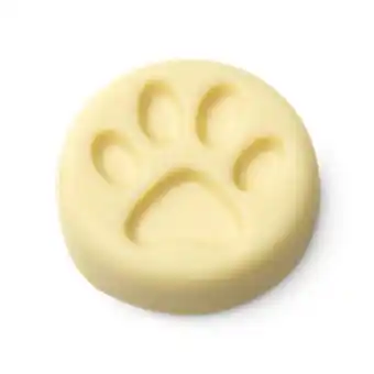 Lush Charity pot coin offer