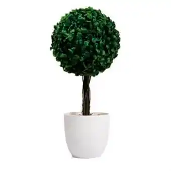 Home Bargains Jardin: artificial grass ball plant offer
