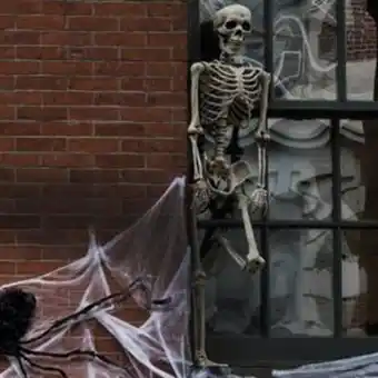 Home Bargains Haunted house: skeleton - large offer