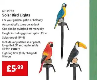 Lidl Melinera Solar Bird Light offer