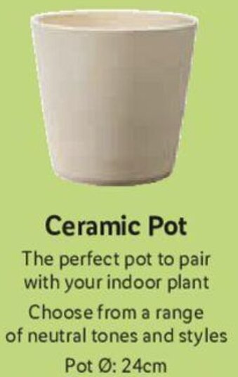Lidl Ceramic Pot offer