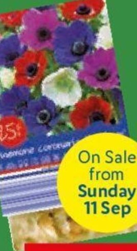 Lidl Spring Flowering Bulbs offer