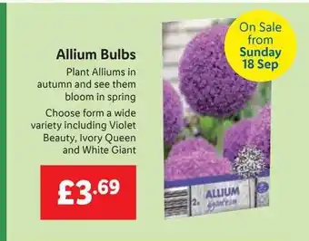 Lidl Allium bulbs offer
